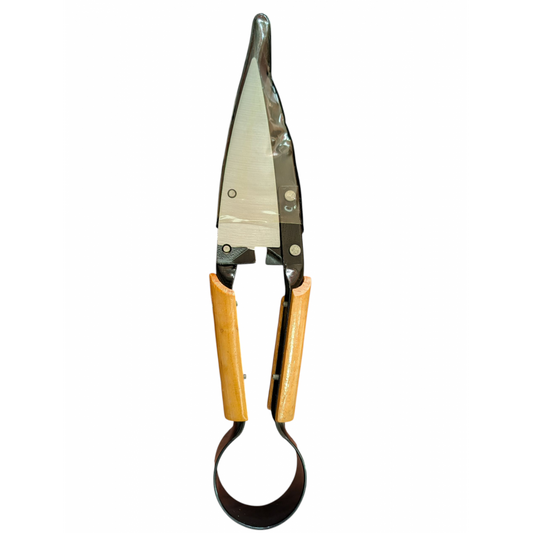 Cisailles à moutons – manche en bois