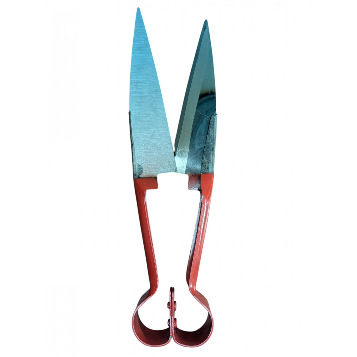 Foarfecă de tuns oi