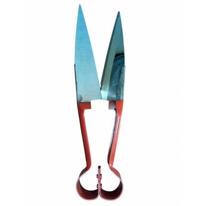 Foarfecă de tuns oi